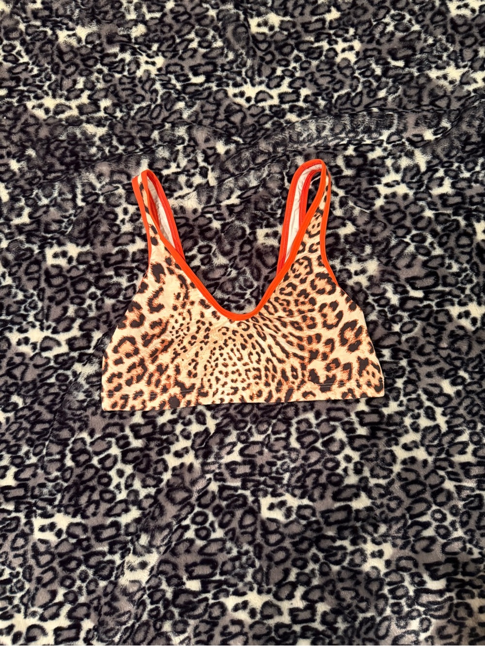 Aerie Leopard Print Bralette with Orange Trim - Women Intimates